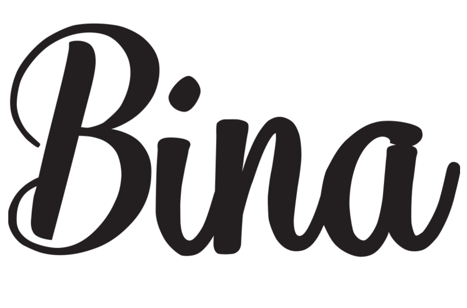 Logo de Bina Boutique
